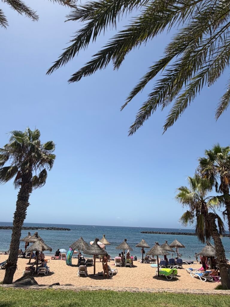Playa del Camisón Tenerife